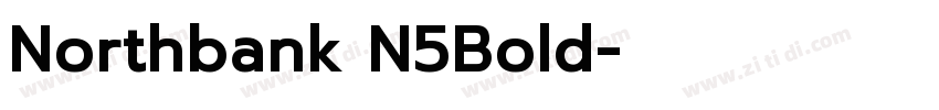 Northbank N5Bold字体转换